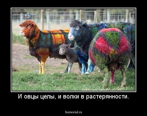И овцы целы, и волки в растерянности.