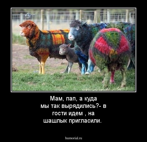 Мам, пап, а куда мы так вырядились?- в гости идем , на шашлык  пригласили.