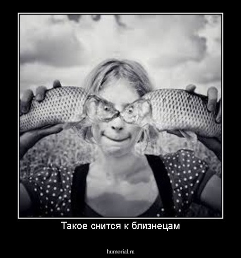 Такое снится к близнецам