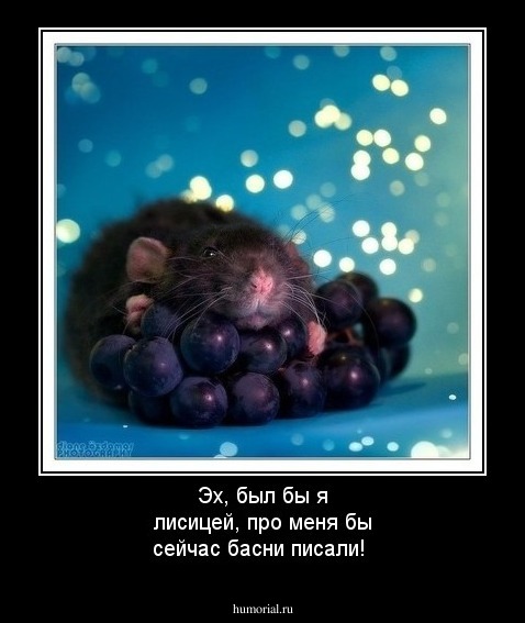 Эх, был бы я лисицей, про меня бы сейчас басни писали!