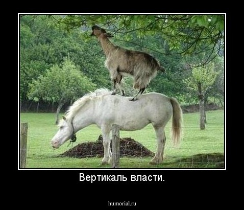 Вертикаль власти.
