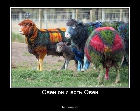 Овен он и есть Овен