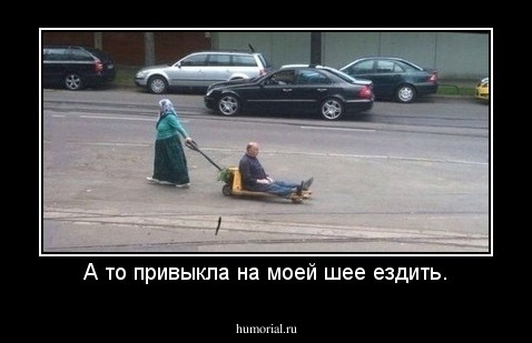 А то привыкла на моей шее ездить.