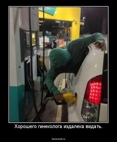 Хорошего гинеколога издалека видать.
