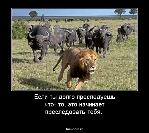 Если ты долго преследуешь что- то, это начинает преследовать тебя.