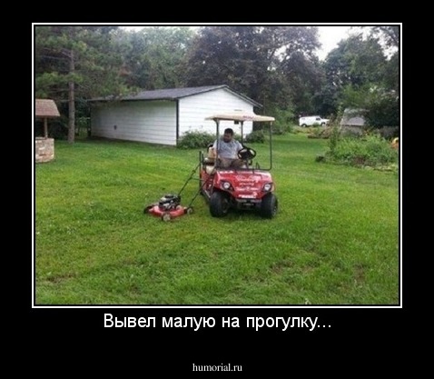 Вывел малую на прогулку...