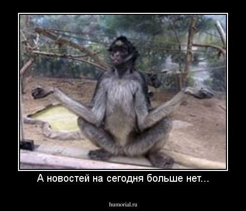 А новостей на сегодня больше нет...
