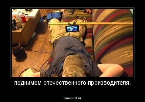 поднимем отечественного производителя.