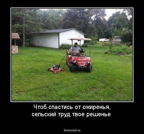 Чтоб спастись от ожиренья, сельский труд твое решенье