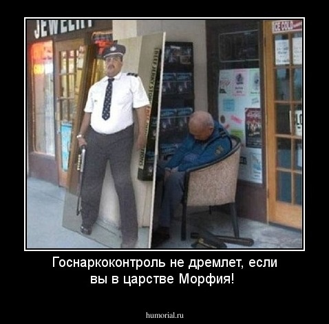 Госнаркоконтроль не дремлет, если вы в царстве Морфия!