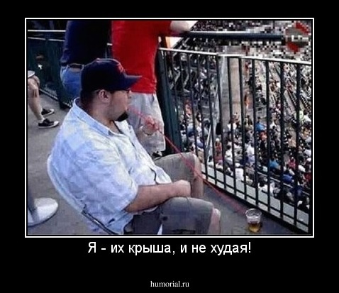 Я - их крыша, и не худая!