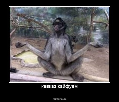 кавказ кайфуем