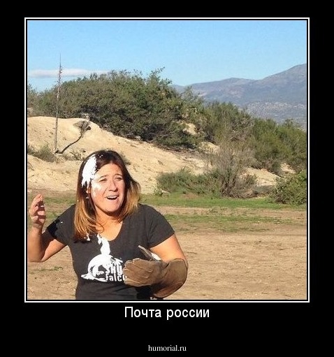 Почта россии