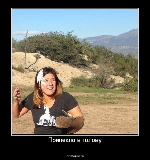 Припекло в голову