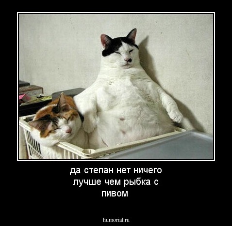 да степан нет ничего лучше чем рыбка с пивом