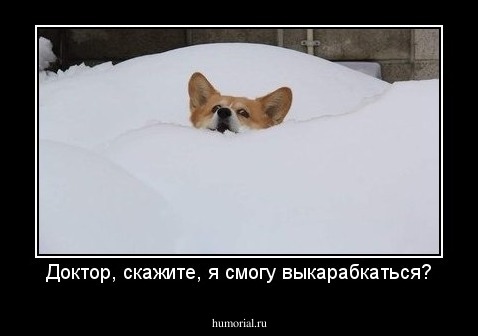 Доктор, скажите, я смогу выкарабкаться?