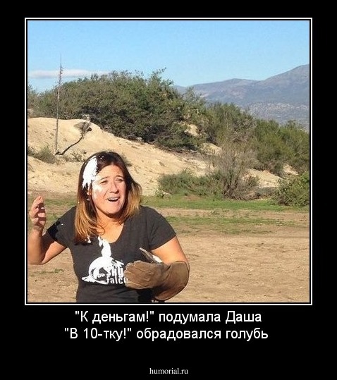 "К деньгам!" подумала Даша

"В 10-тку!" обрадовался голубь