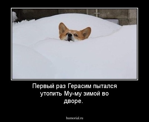 Первый раз Герасим пытался утопить Му-му зимой во дворе.