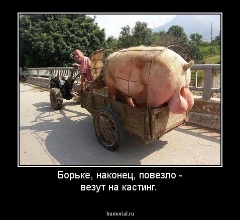 Борьке,  наконец,  повезло - везут на кастинг.