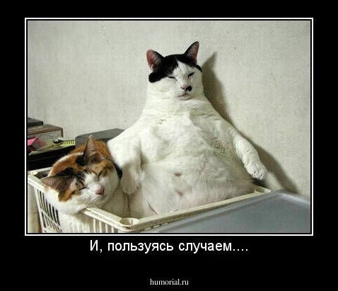 И, пользуясь случаем....