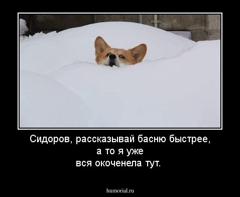 Сидоров, рассказывай басню быстрее, а то я уже вся окоченела тут. 