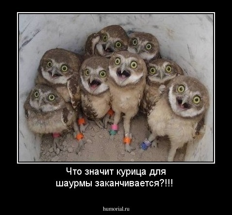 Что значит курица для шаурмы заканчивается?!!!