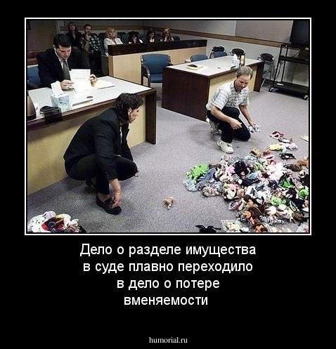 Дело о разделе имущества в суде плавно переходило в дело о потере вменяемости