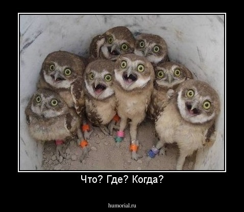 Что? Где? Когда?