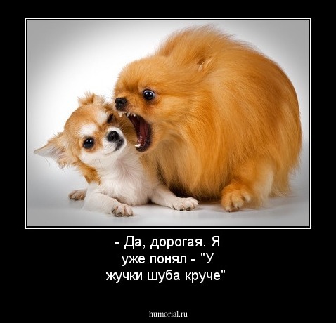 - Да, дорогая. Я уже понял - "У жучки шуба круче"
