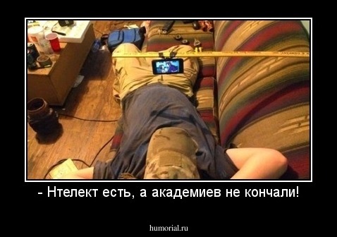 - Нтелект есть, а академиев не кончали!