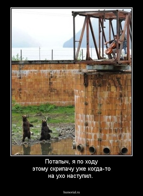 Потапыч, я по ходу этому скрипачу уже когда-то на ухо наступил.