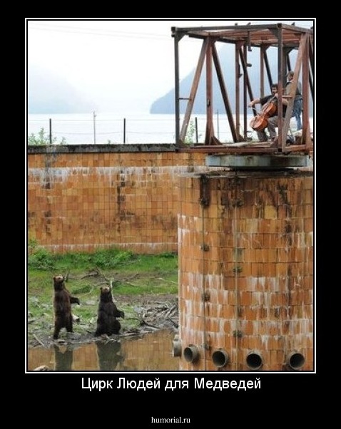 Цирк Людей для Медведей