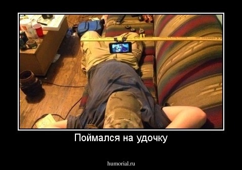 Поймался на удочку