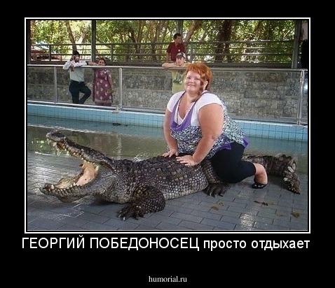ГЕОРГИЙ ПОБЕДОНОСЕЦ просто отдыхает 
