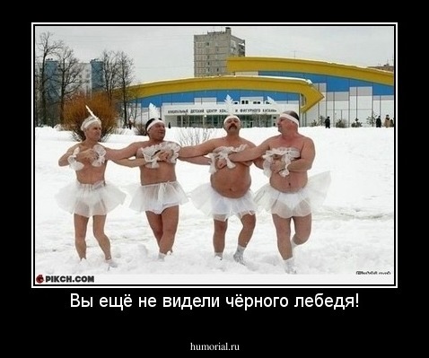 Вы ещё не видели чёрного лебедя!