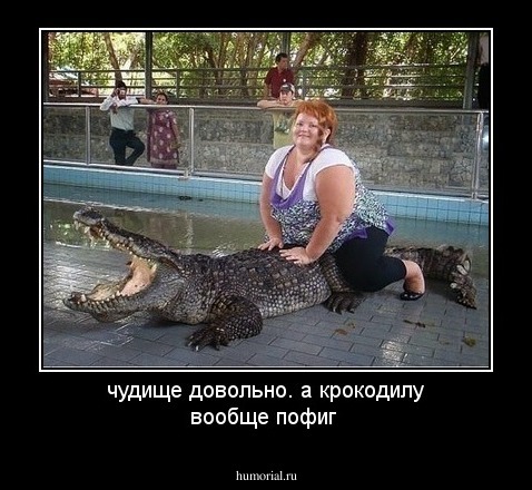чудище довольно. а крокодилу вообще пофиг
