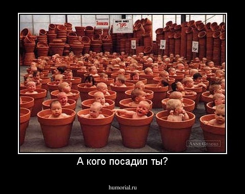 А кого посадил ты?