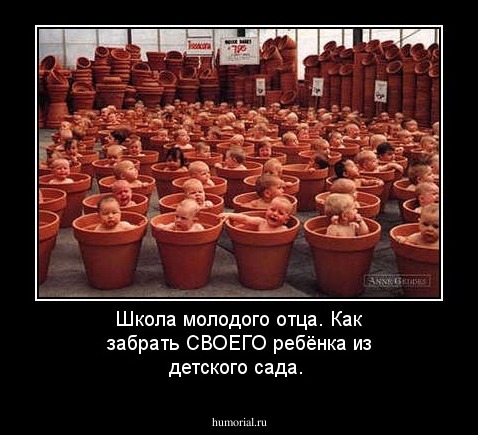 Школа молодого отца. Как  забрать СВОЕГО ребёнка из детского сада.