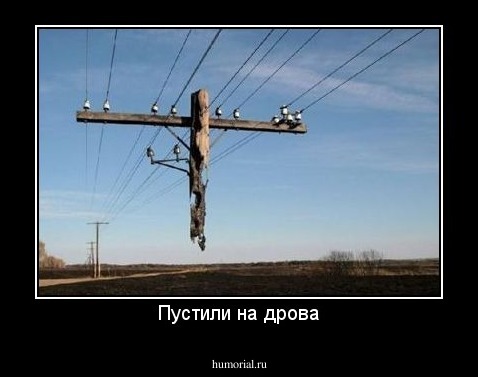 Пустили на дрова