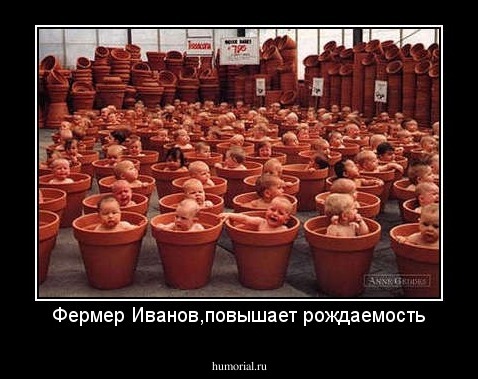 Фермер Иванов,повышает рождаемость