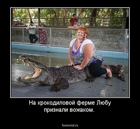 На крокодиловой ферме Любу признали вожаком. 
