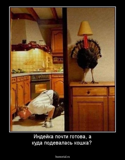 Индейка почти готова, а куда подевалась кошка?