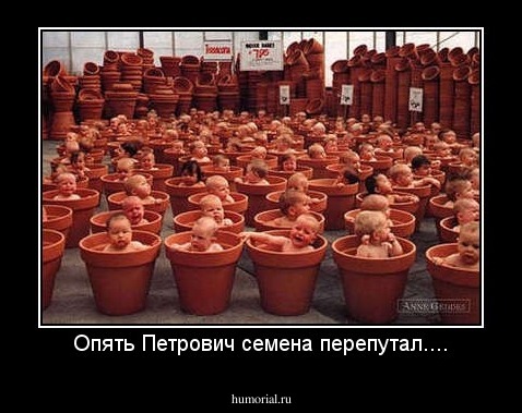 Опять Петрович семена перепутал....