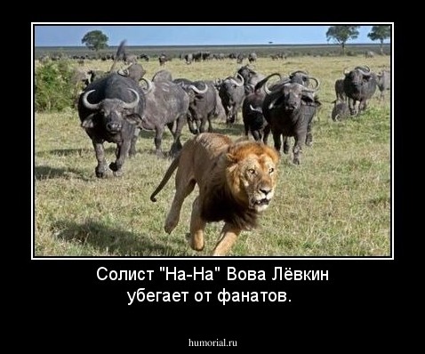Солист "На-На" Вова Лёвкин убегает от фанатов.