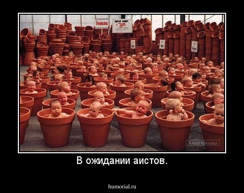 В ожидании аистов.