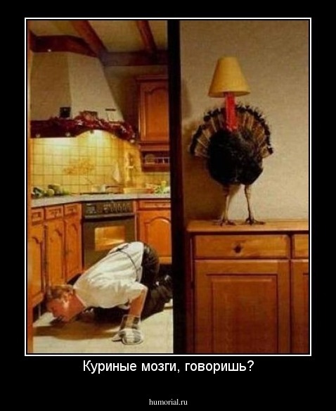 Куриные мозги, говоришь?