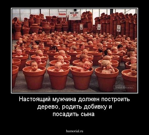 Настоящий мужчина должен построить дерево, родить добивку и посадить сына