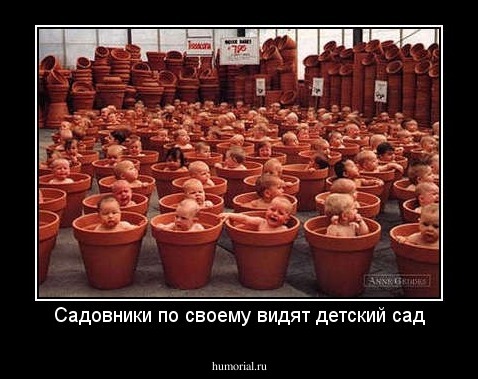 Садовники по своему видят детский сад