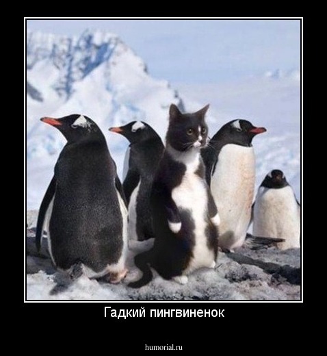 Гадкий пингвиненок