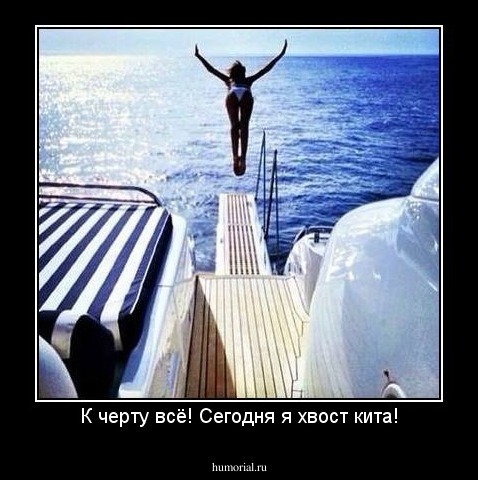 К черту всё! Сегодня я хвост кита!